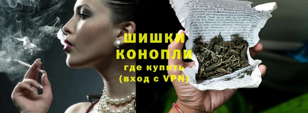 шишки Магас