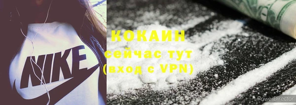 шишки Магас