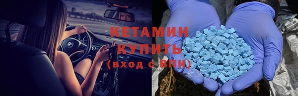 шишки Магас