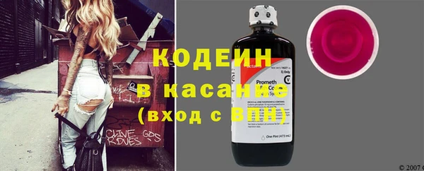 шишки Магас