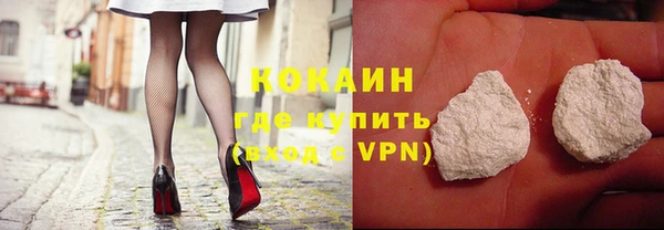 шишки Магас