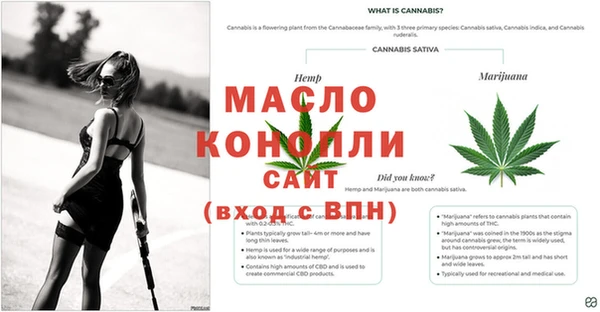 шишки Магас
