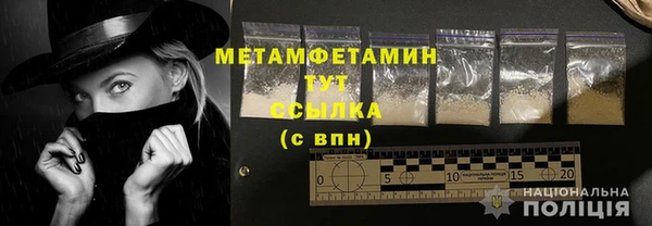 шишки Магас