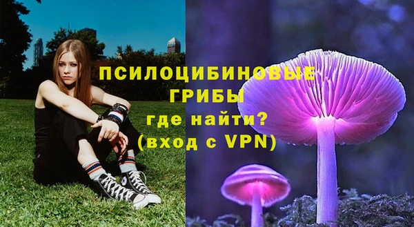 шишки Магас
