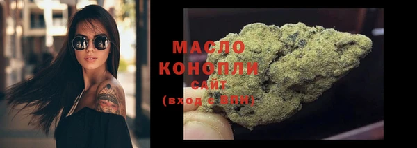 шишки Магас