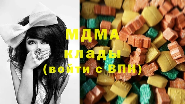 шишки Магас