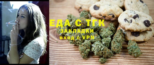 шишки Магас