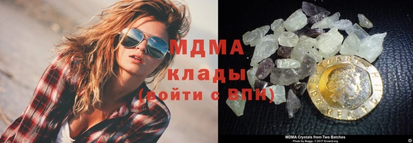 шишки Магас