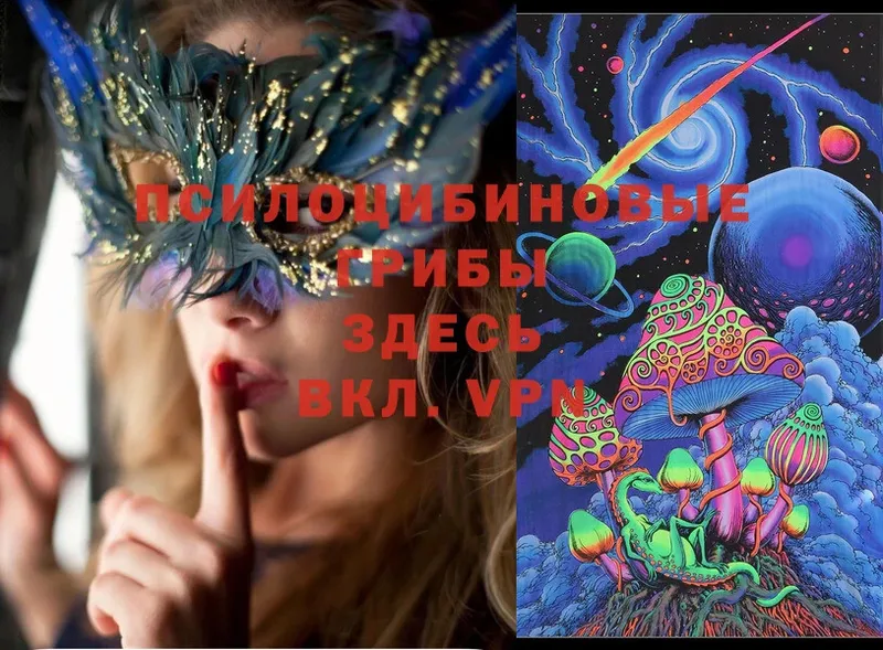 купить наркоту  Реутов  Псилоцибиновые грибы Cubensis 