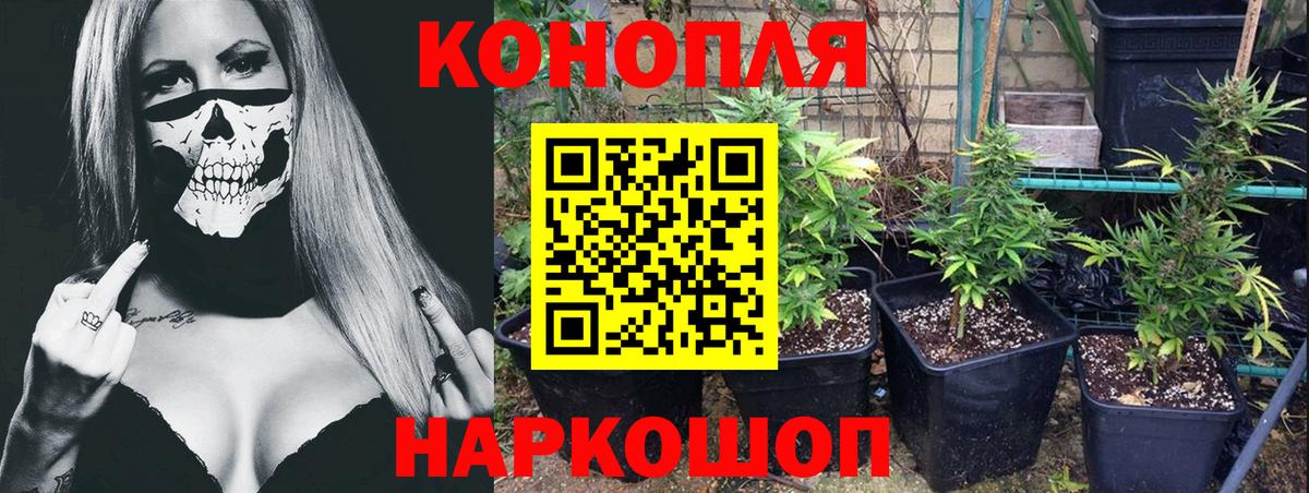 Реутов  Шишки марихуана Ganja  Каннабис SATIVA & INDICA  Вход с VPN  Шишки марихуана MAZAR 